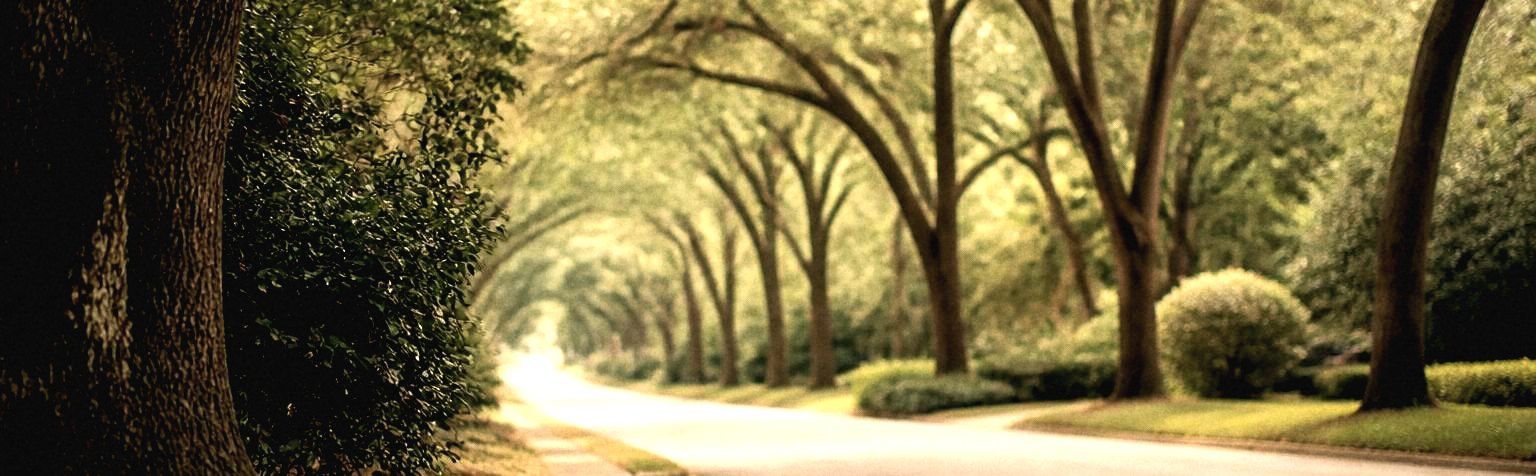 A residential street in Gwinnett County, Georgia