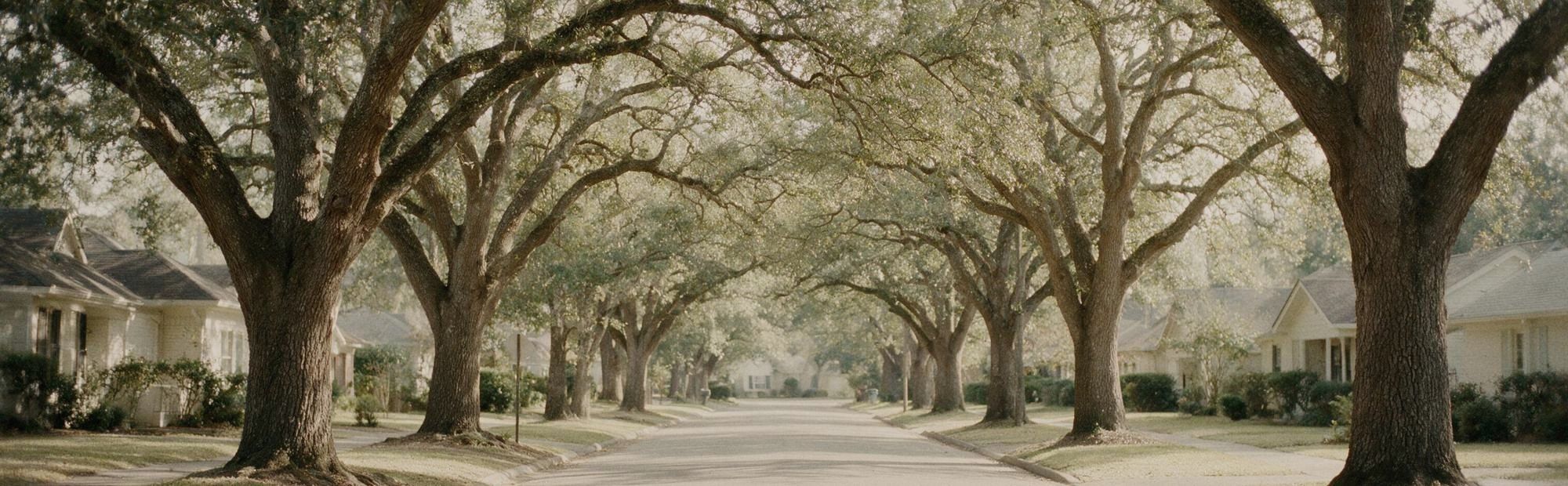 A residential street in Gwinnett County, Georgia